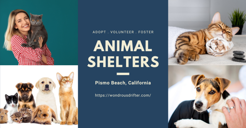 Animal Shelters in Pismo Beach, California