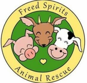 Freed Spirits Animal Rescue