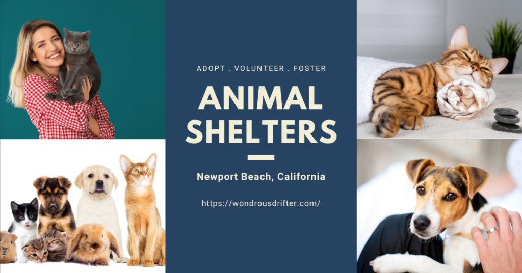 Animal Shelters in Newport Beach, California