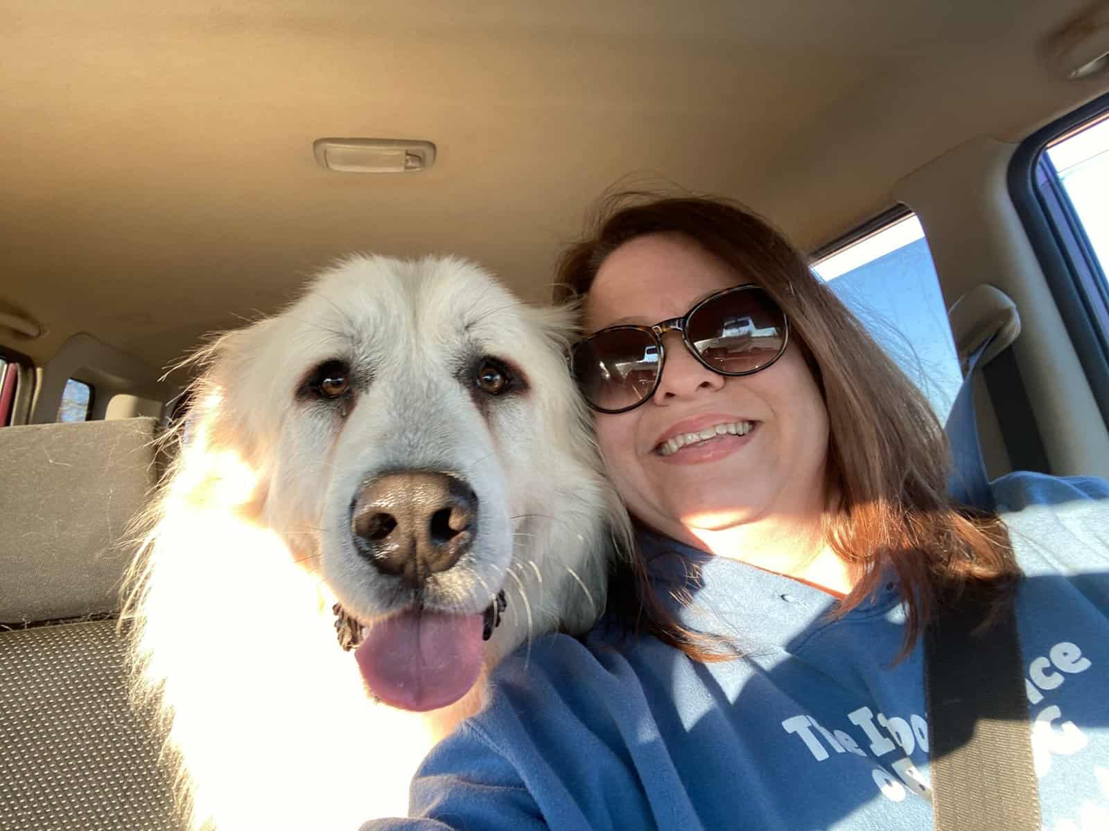 k9.5 Rescue