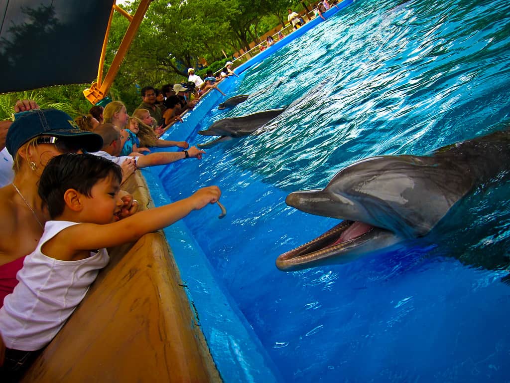 Seaworld San Antonio, Texas