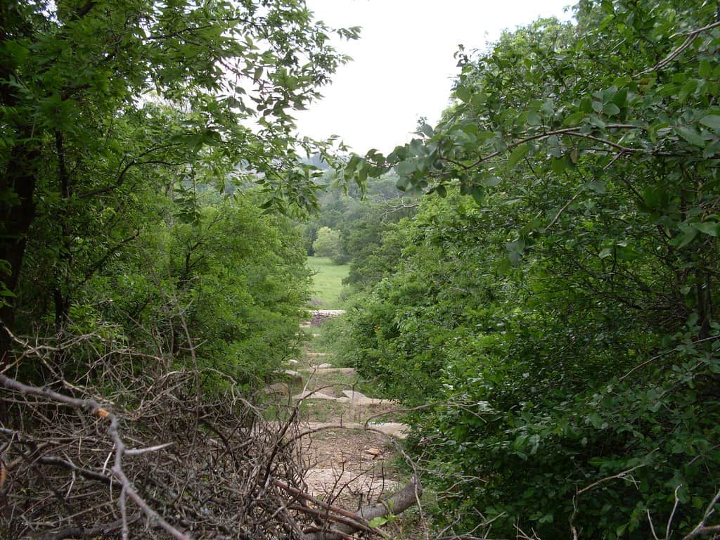 Arbor Hills Nature Preserve, Plano, Texas