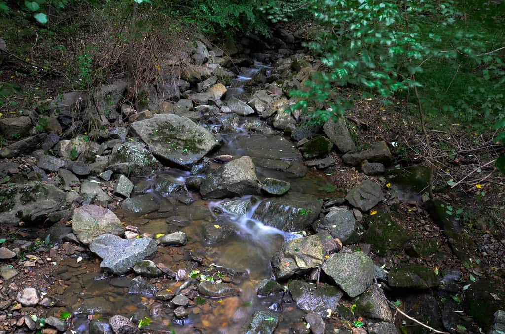 Brandywine Creek State Park, Wilmington, Delaware