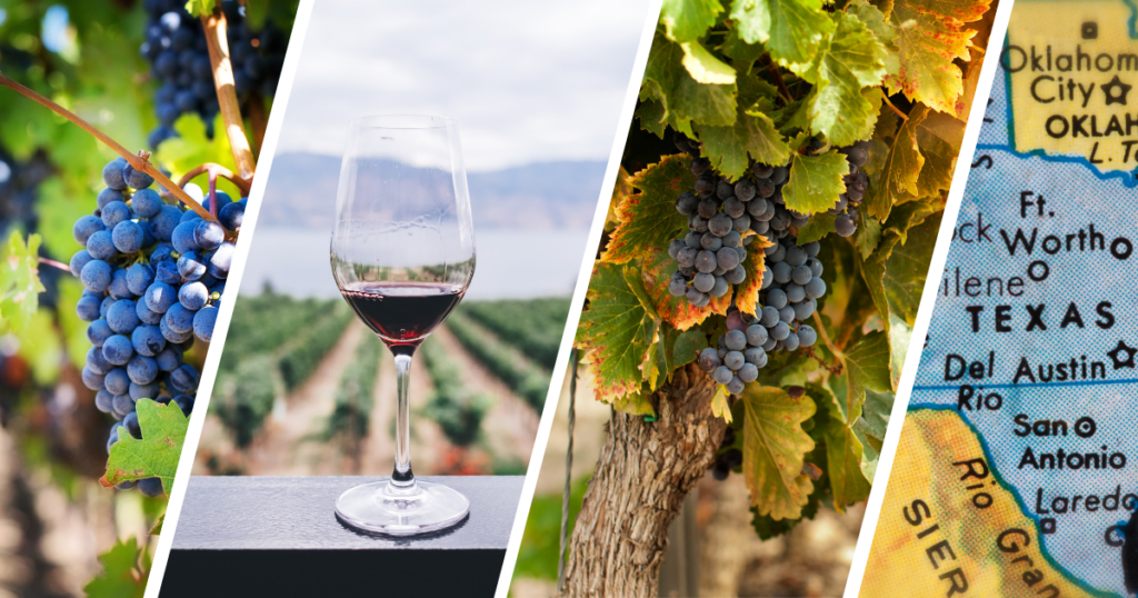 Fairhaven Vineyard, Longview, Texas