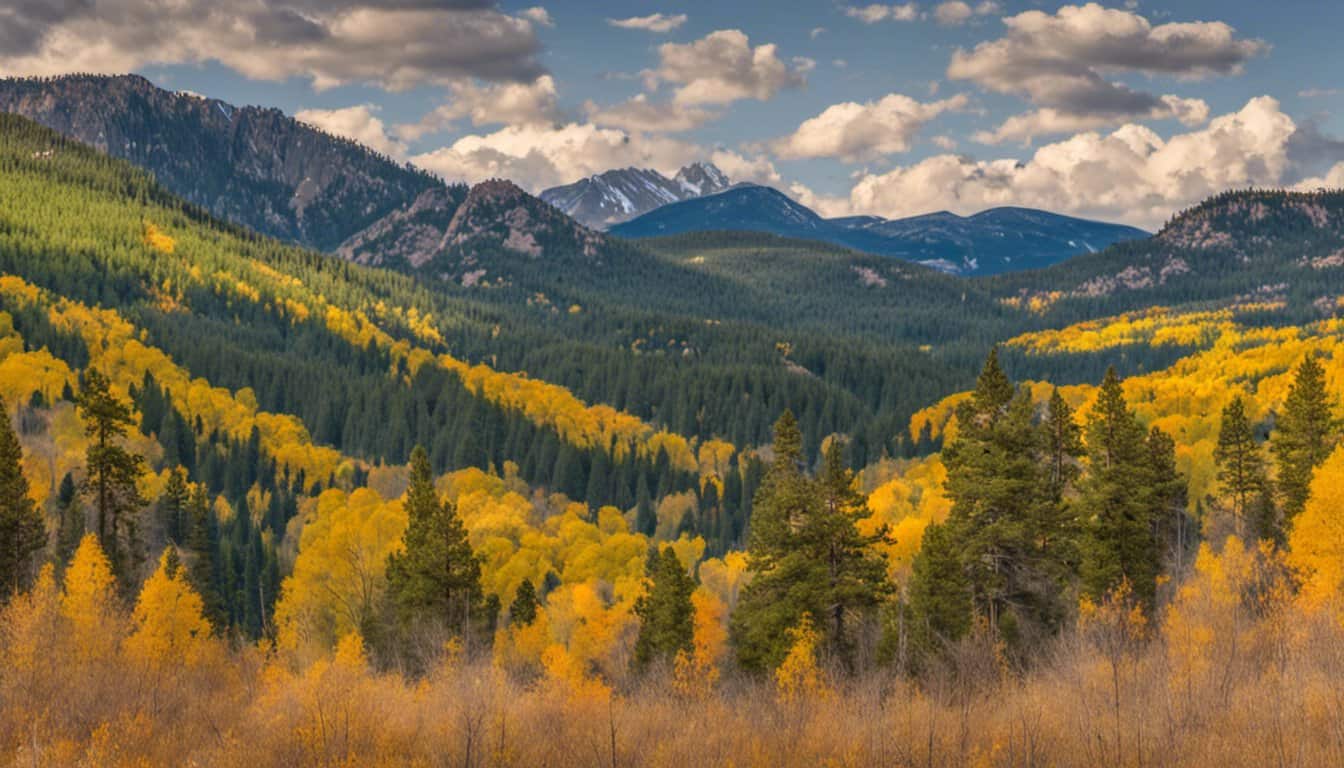 Best & Fun Things To Do + Places To Visit In Conifer, Colorado