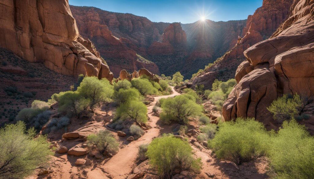 Hiking Trails, Tempe, Arizona