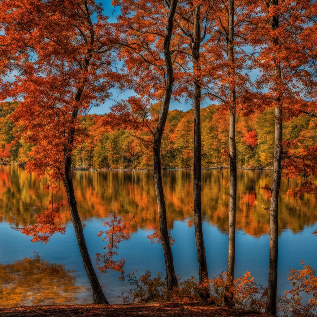 Outdoor Activities, Guntersville, Alabama