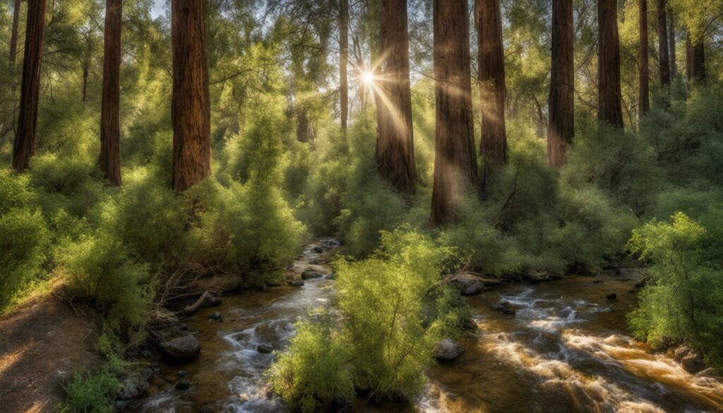 Outdoor Adventures, Ontario, California