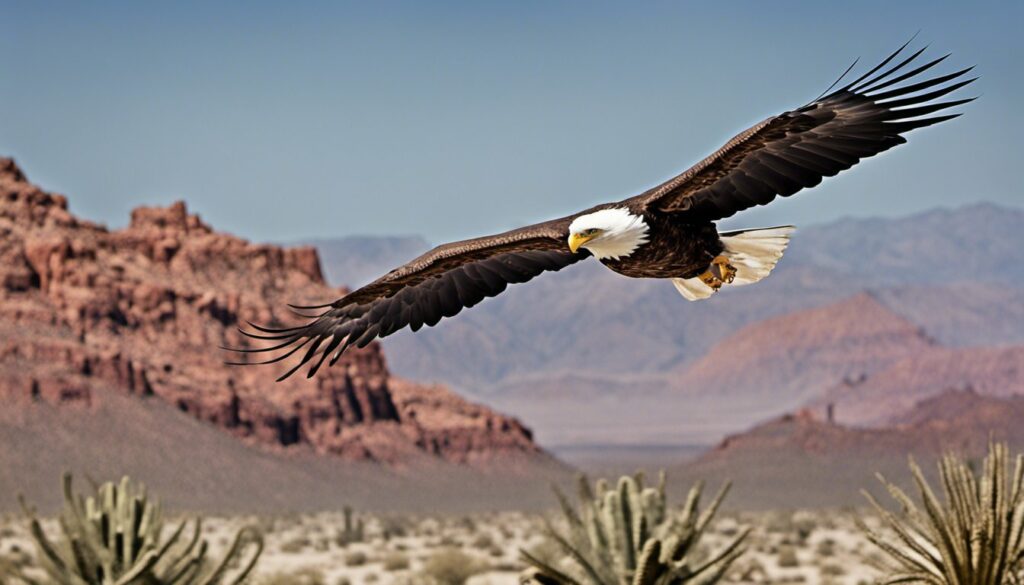 Kingman's Wildlife, Kingman, Arizona