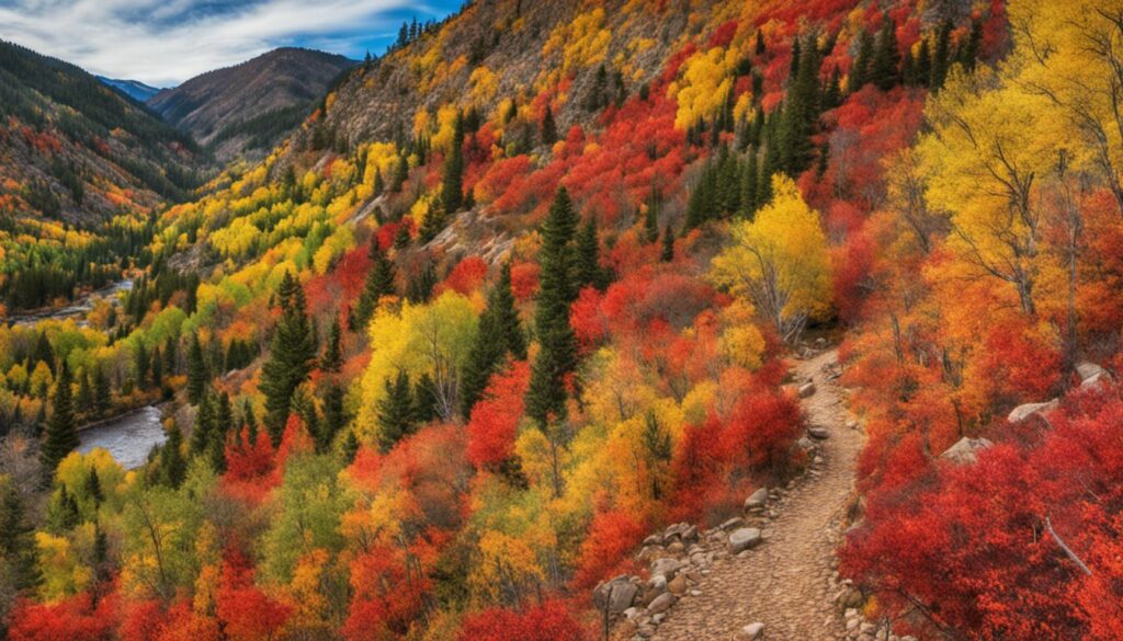 Hiking Trails, Black Hawk, Colorado