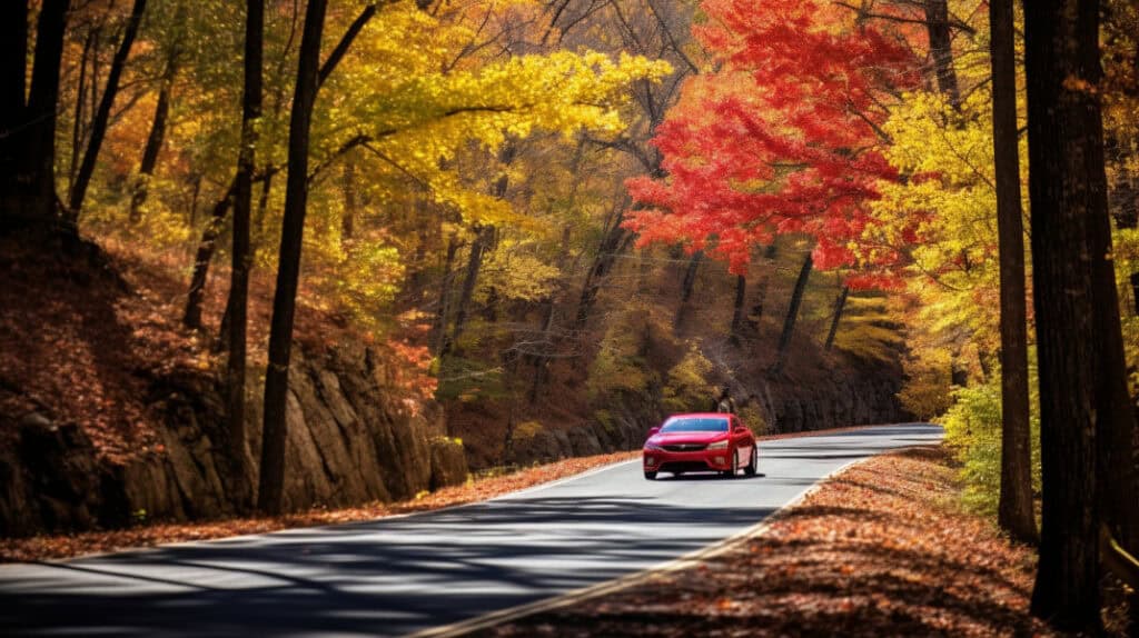Take a Scenic Drive, Rogers, Kentucky