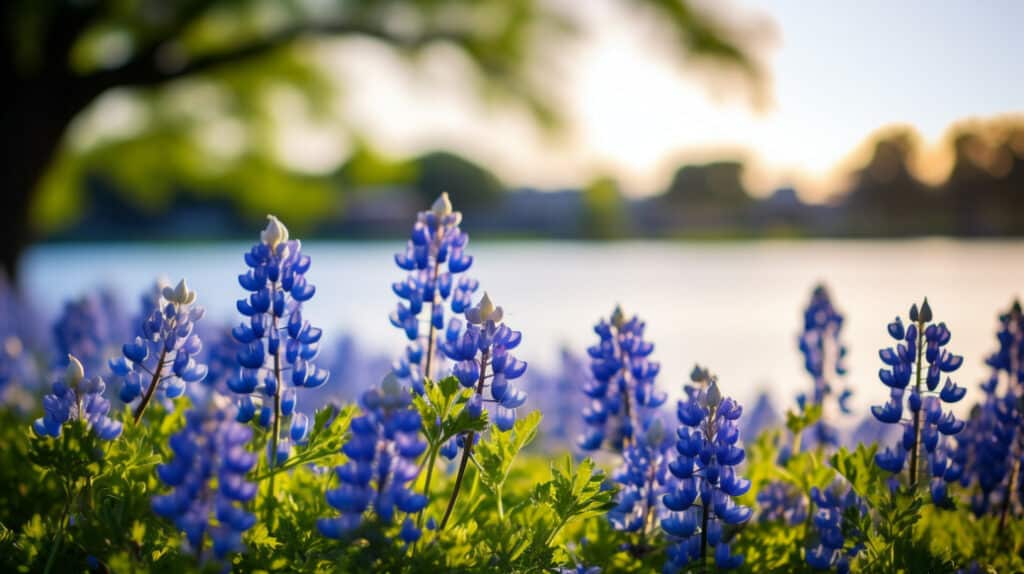 Bluebonnet Park Adventures, Ennis, Texas